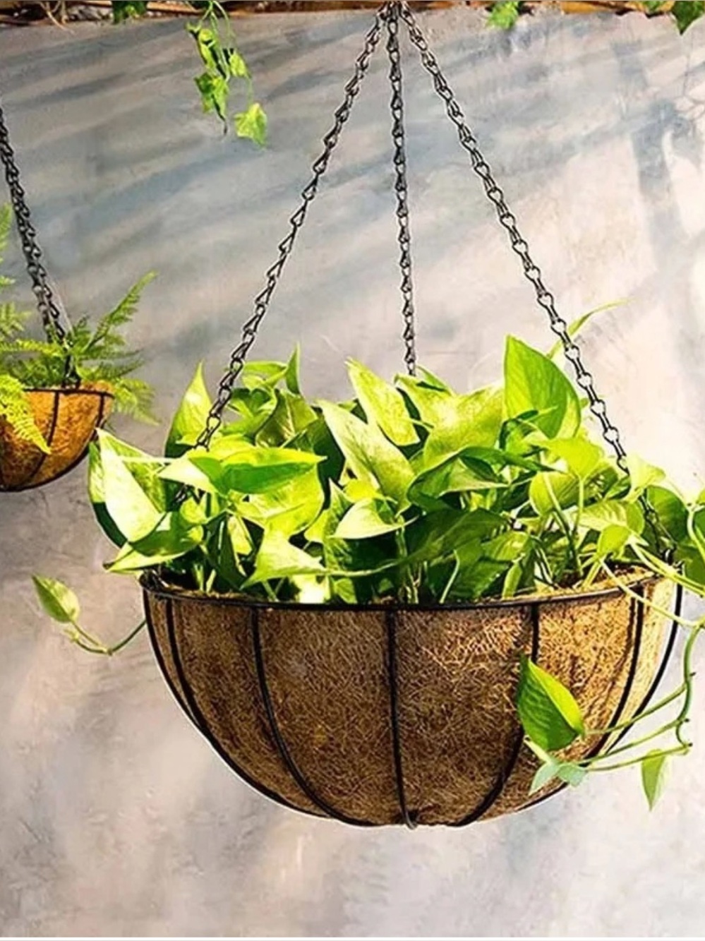 1 Round 10” Wire Plant Holder Metal Hanging Basket Coconut Liner NWOT!